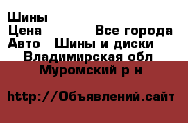 Шины bridgestone potenza s 2 › Цена ­ 3 000 - Все города Авто » Шины и диски   . Владимирская обл.,Муромский р-н